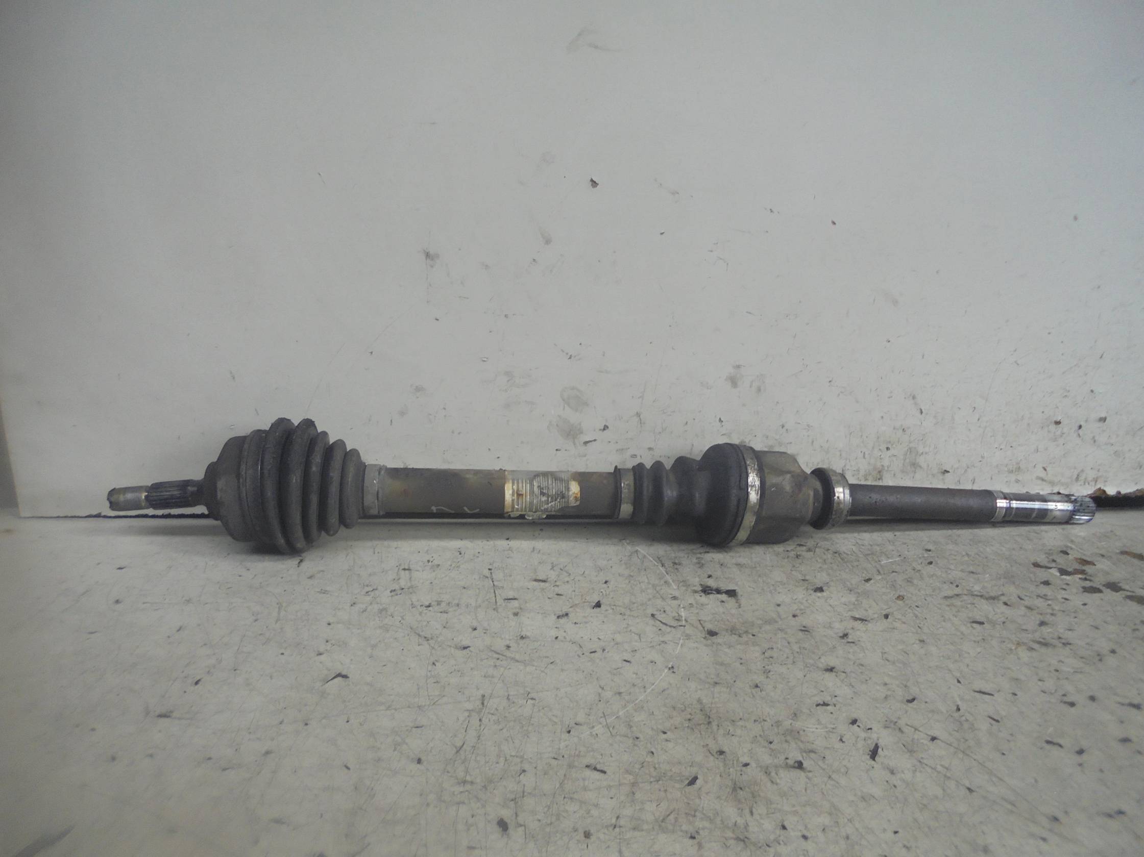 Semialbero ant. compl. dx.